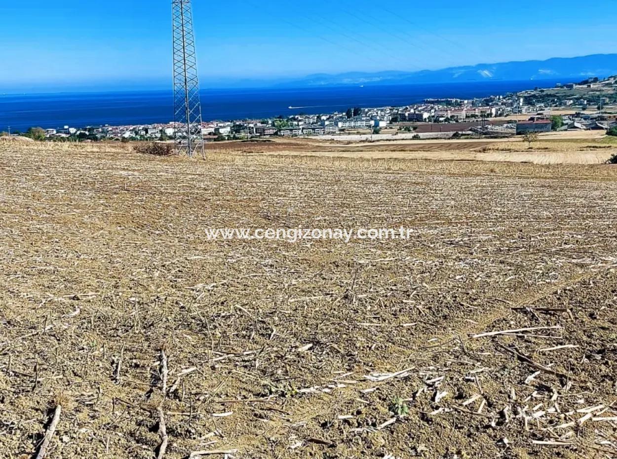 The 21,900 M2 Plot Located In Tekirdağ Barbaros Is Located Within The Current Zoning Plan Of Asyaport Port