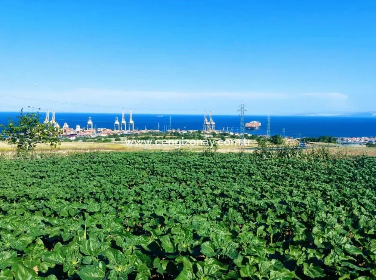 The 17,980 M2 Plot In Barbaros, Tekirdag, Is Facing The Asyaport Harbor Road.