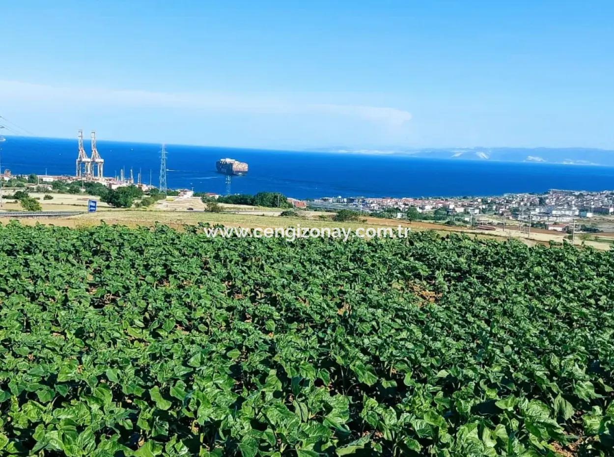 The 17,980 M2 Plot In Barbaros, Tekirdag, Is Facing The Asyaport Harbor Road.