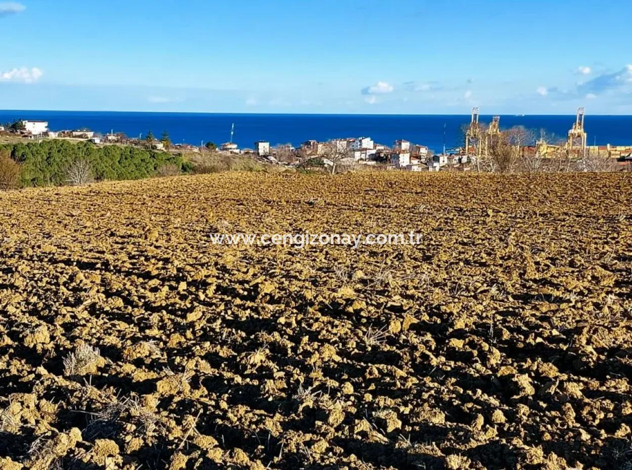 17.100 M2 Residential Zoned Field With Tremendous View, Close To Tekirdağ Barbaros Asyaport Port