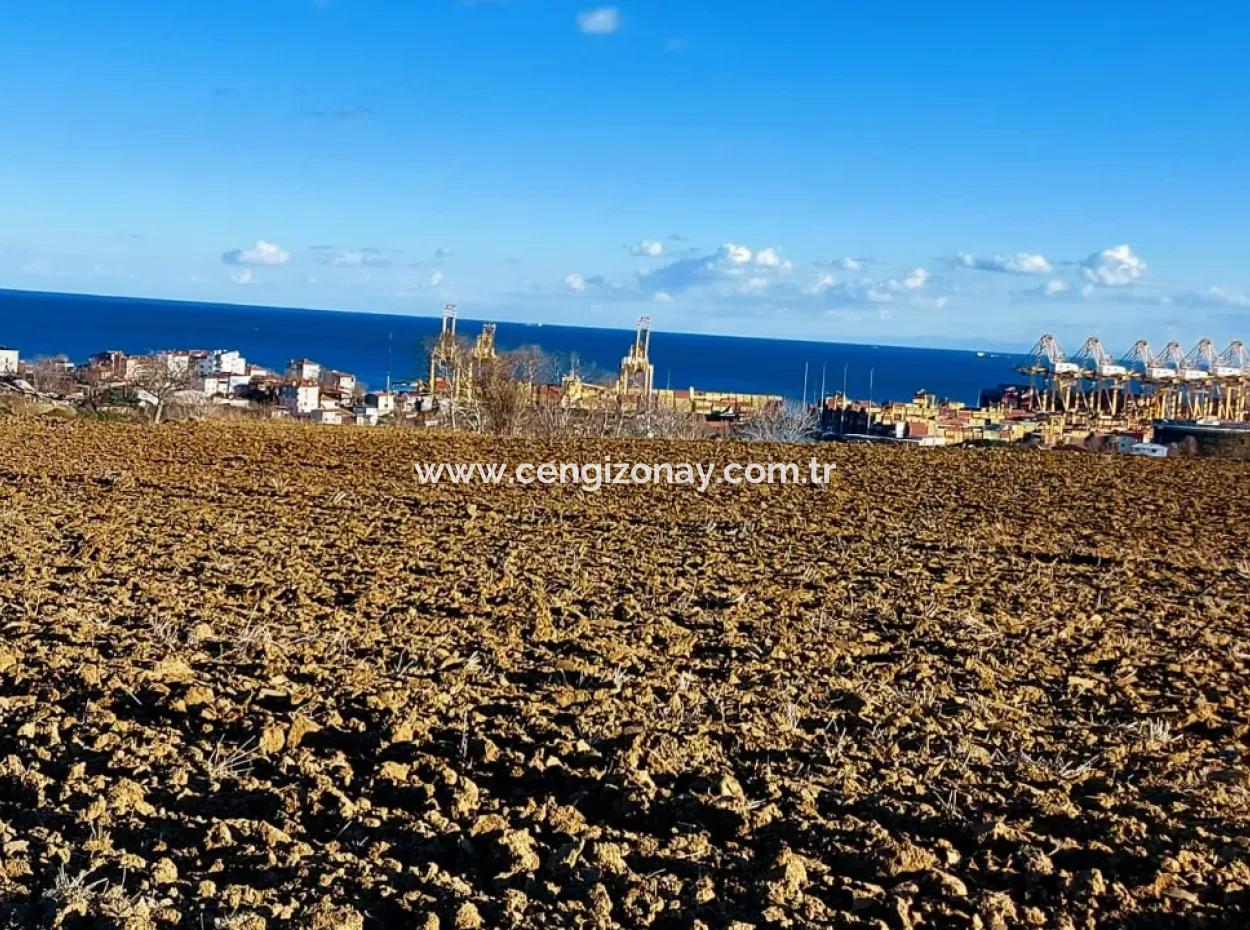 17.100 M2 Residential Zoned Field With Tremendous View, Close To Tekirdağ Barbaros Asyaport Port