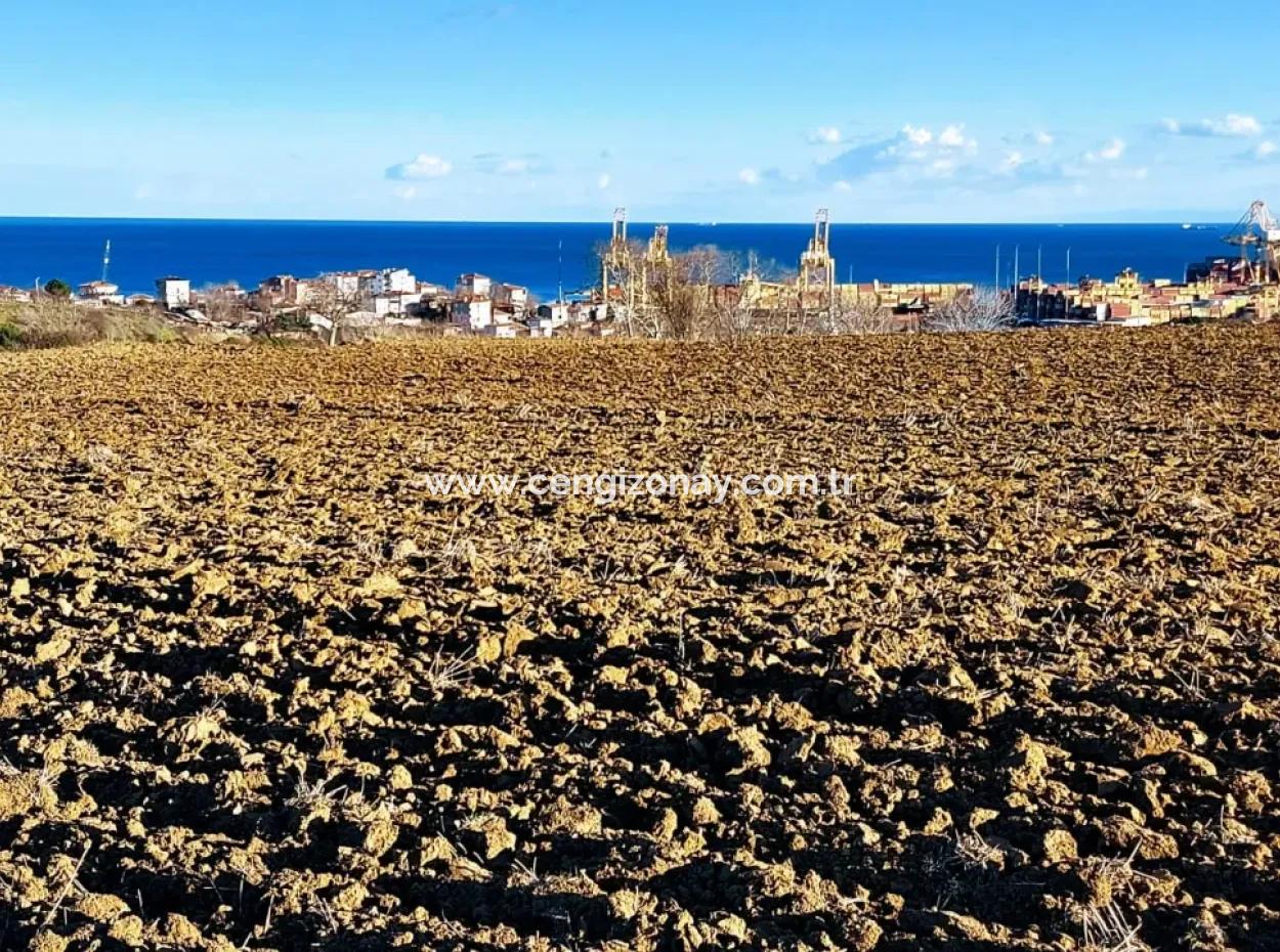 17.100 M2 Residential Zoned Field With Tremendous View, Close To Tekirdağ Barbaros Asyaport Port