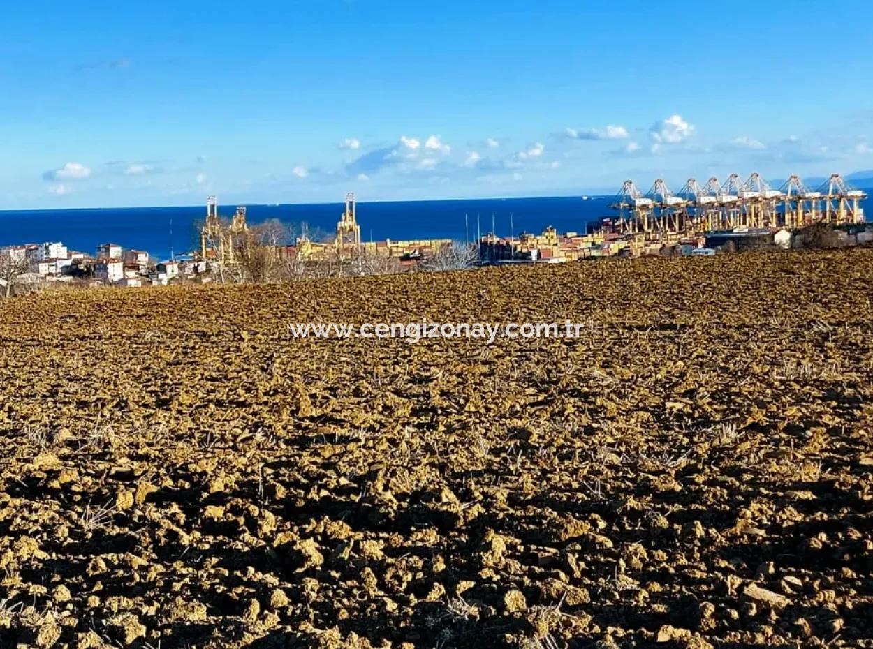 17.100 M2 Residential Zoned Field With Tremendous View, Close To Tekirdağ Barbaros Asyaport Port