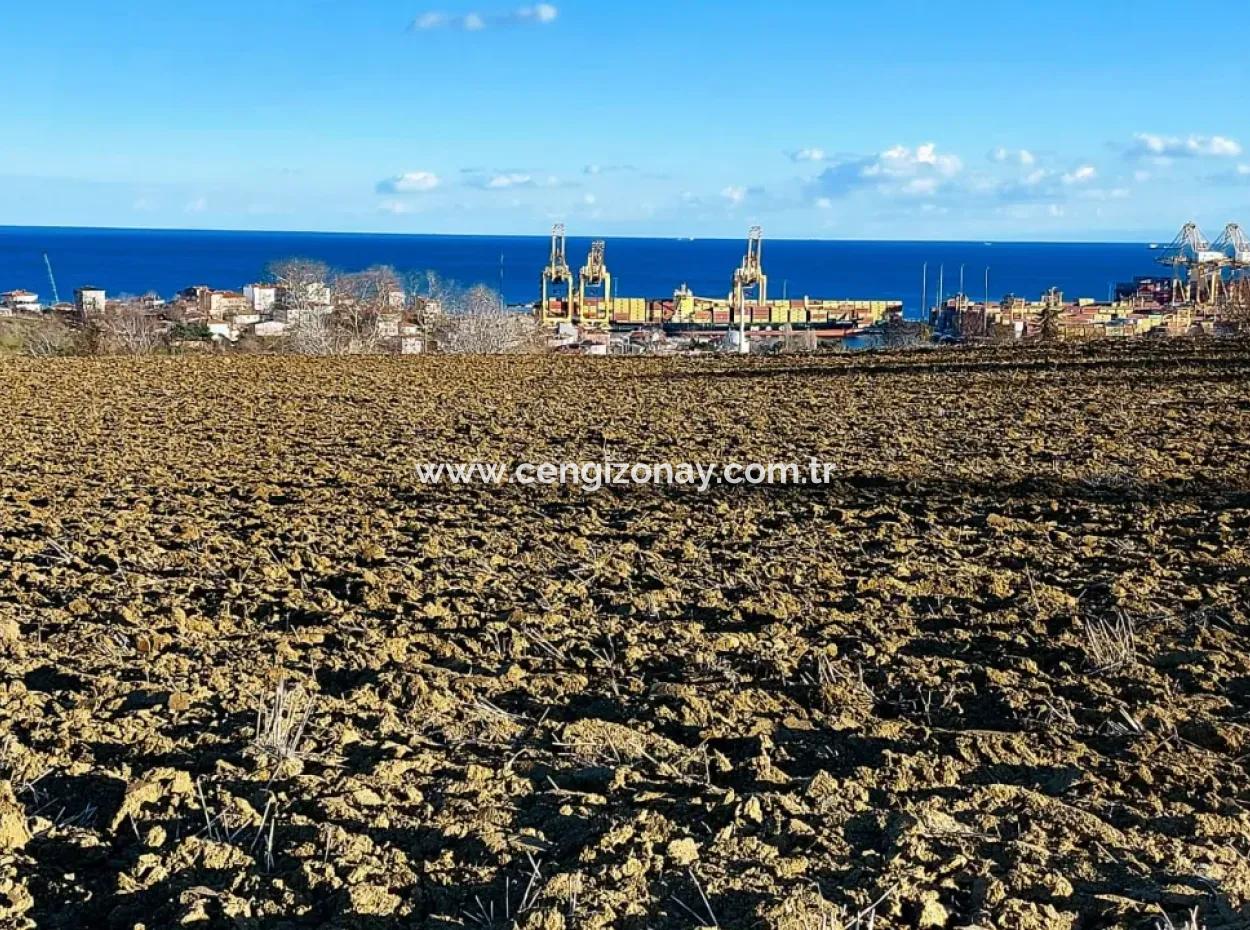 17.100 M2 Residential Zoned Field With Tremendous View, Close To Tekirdağ Barbaros Asyaport Port