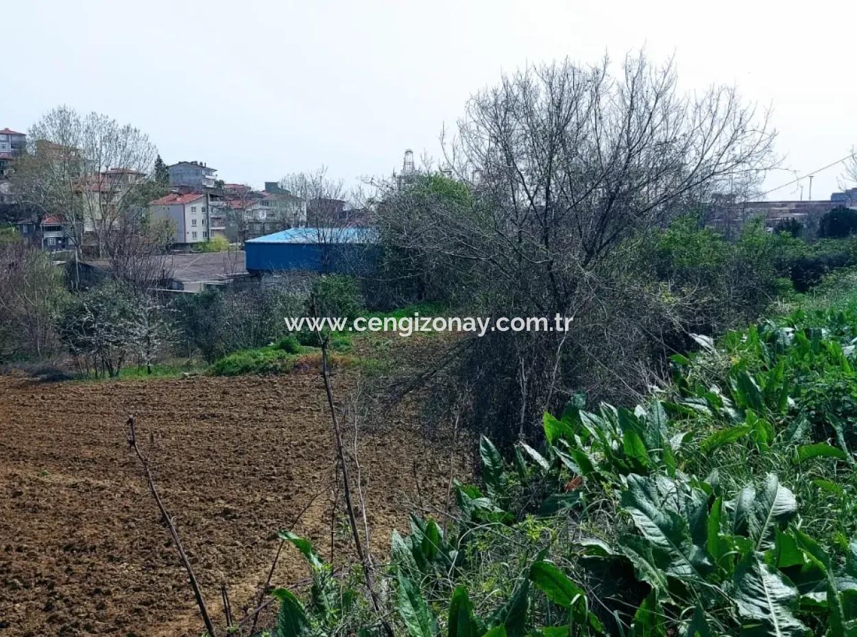 Very Close To Asyaport Port High Profit Guaranteed Residential Zoned Place