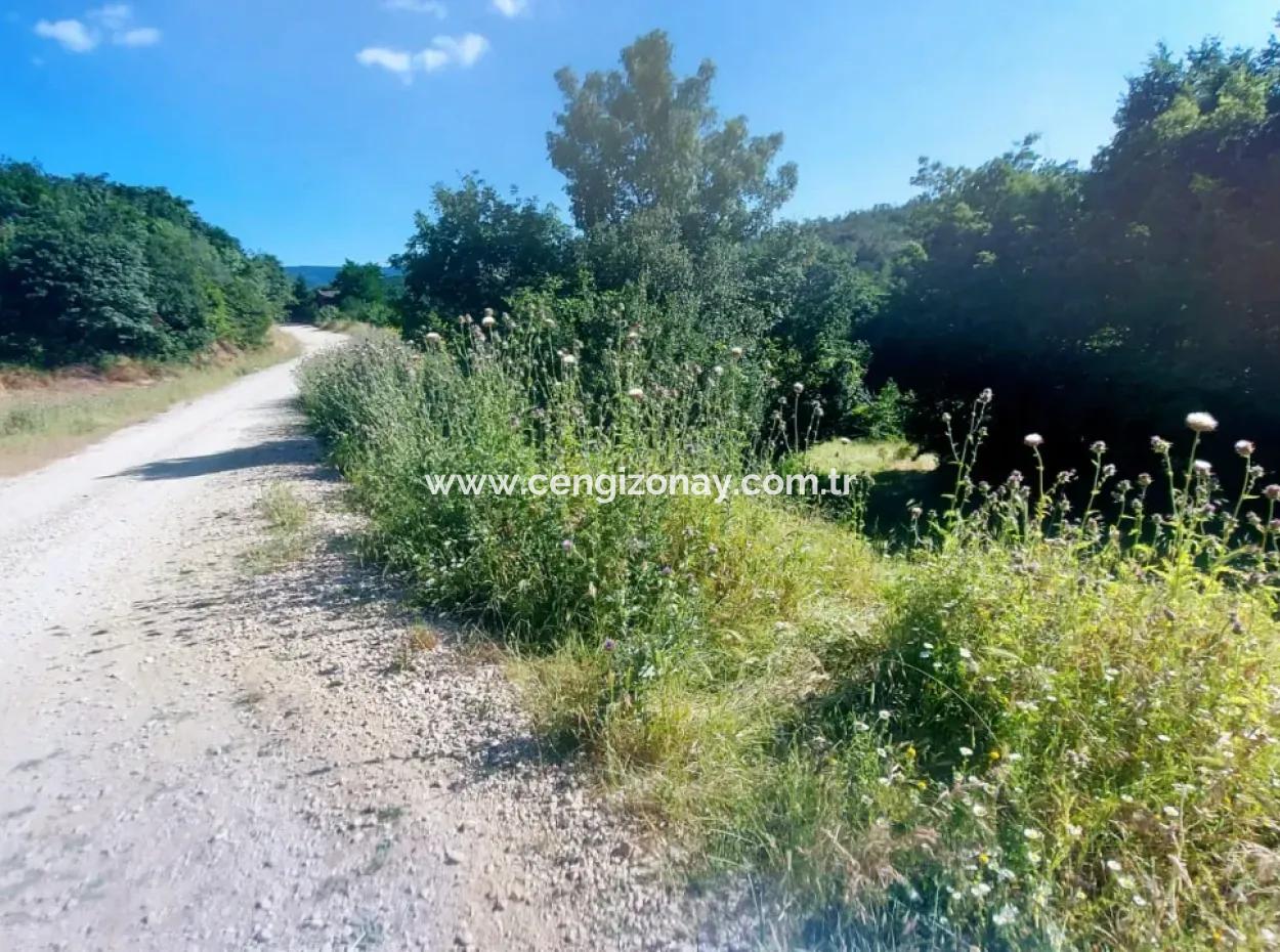 Coupon Field With Main Road Frontage Suitable For Nature Enthusiasts To Put Tiny House For Urgent Sale In Tekirdag Çanakçi Neighborhood