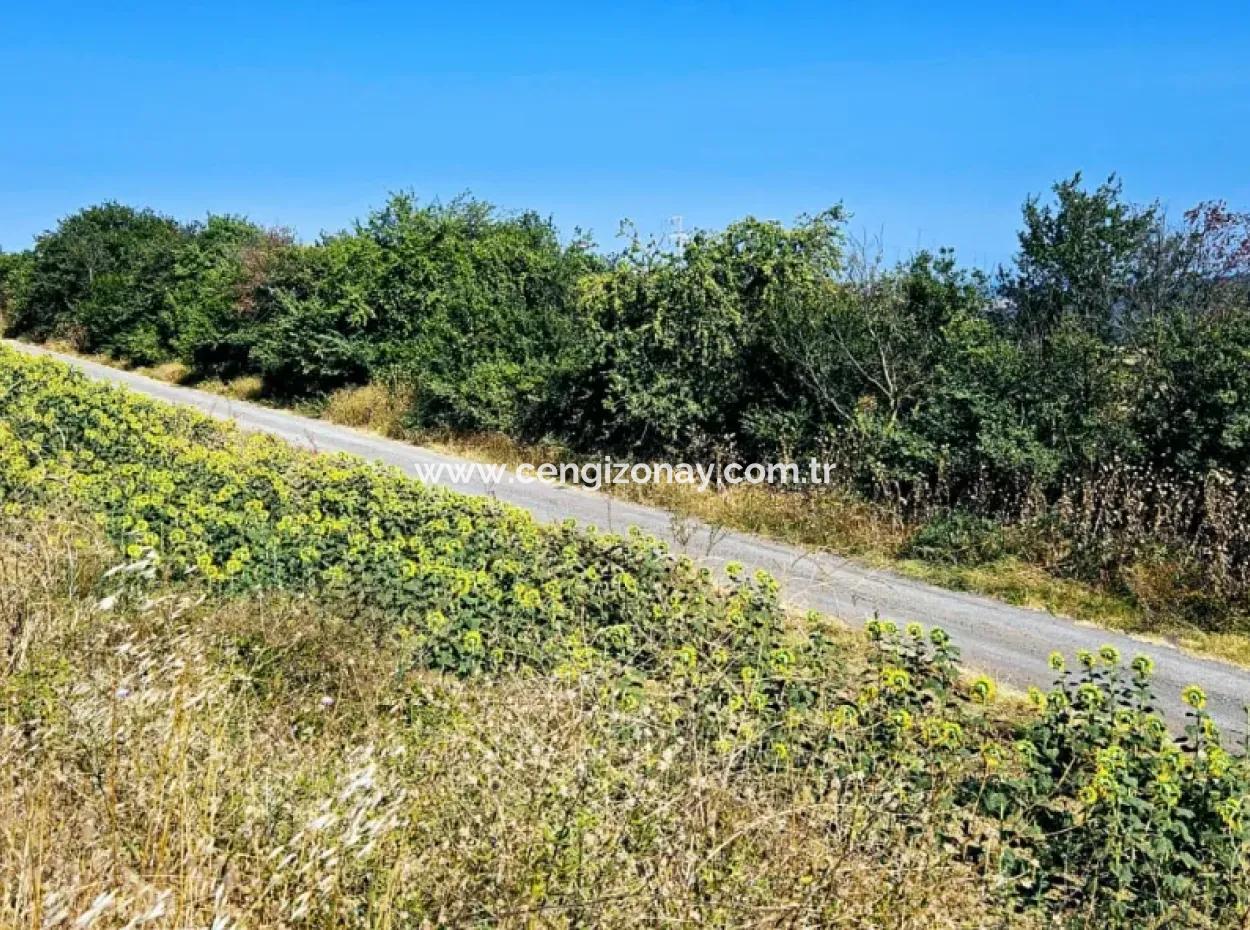 Tekirdağ Aşağkiliçli Mah. 2.340 M2 Coupon Field For Urgent Sale Promising High Profits Suitable For Buy And Sell