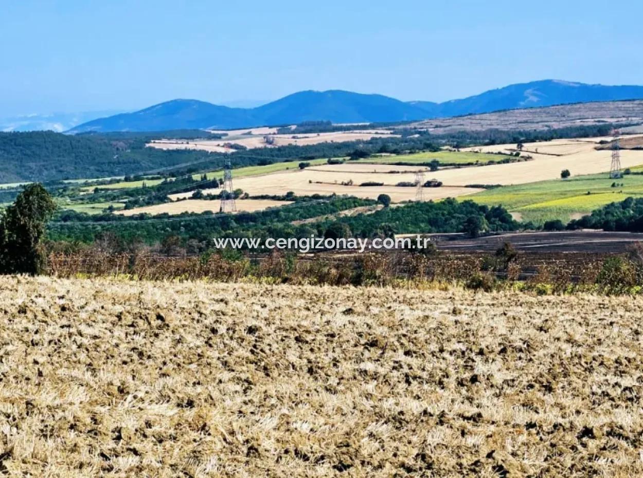 Tekirdağ Aşağkiliçli Mah. 2.340 M2 Coupon Field For Urgent Sale Promising High Profits Suitable For Buy And Sell