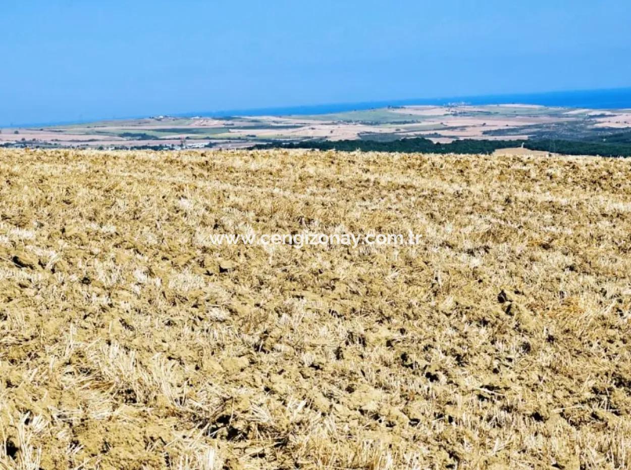 Tekirdağ Aşağkiliçli Mah. 2.340 M2 Coupon Field For Urgent Sale Promising High Profits Suitable For Buy And Sell