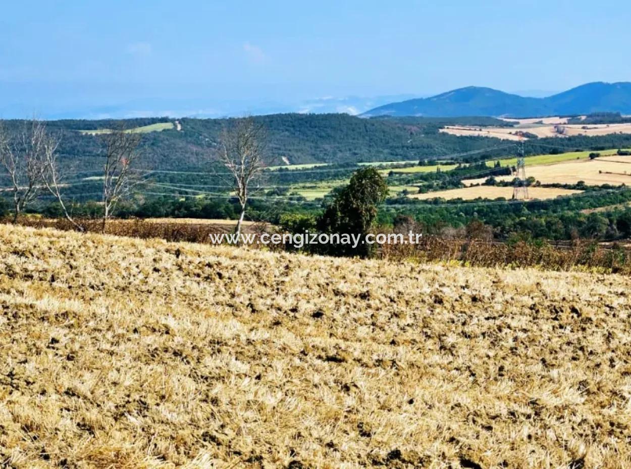 Tekirdağ Aşağkiliçli Mah. 2.340 M2 Coupon Field For Urgent Sale Promising High Profits Suitable For Buy And Sell