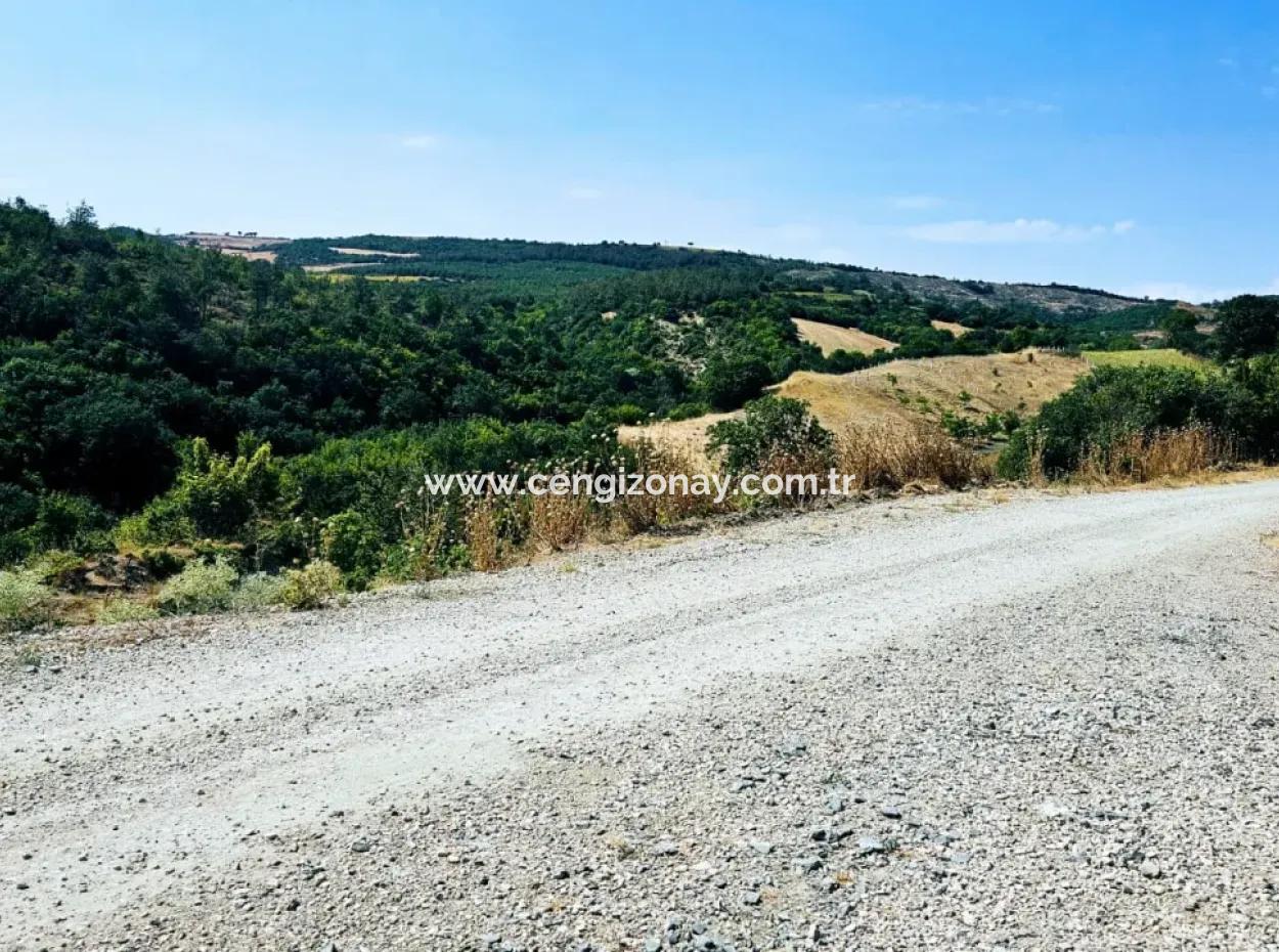 Kelep Kopon Field For Urgent Sale For Those Who Want To Make A Profitable Investment In Tekirdag Çanakçi Neighborhood