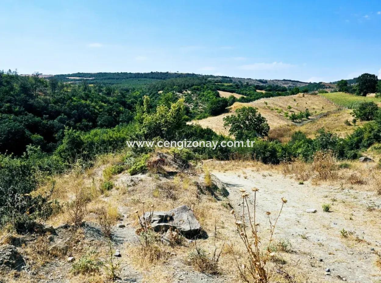 Kelep Kopon Field For Urgent Sale For Those Who Want To Make A Profitable Investment In Tekirdag Çanakçi Neighborhood