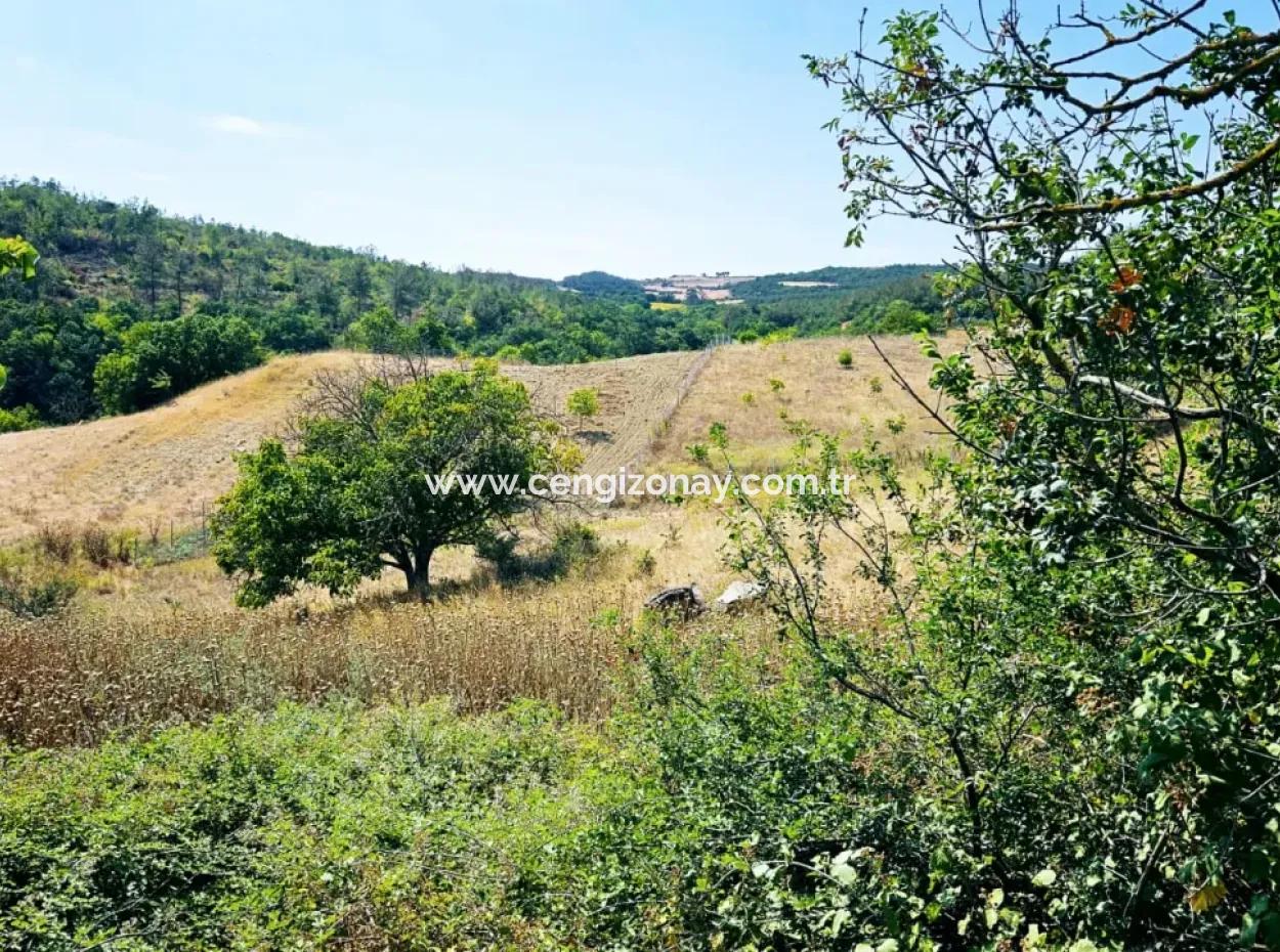 Kelep Kopon Field For Urgent Sale For Those Who Want To Make A Profitable Investment In Tekirdag Çanakçi Neighborhood