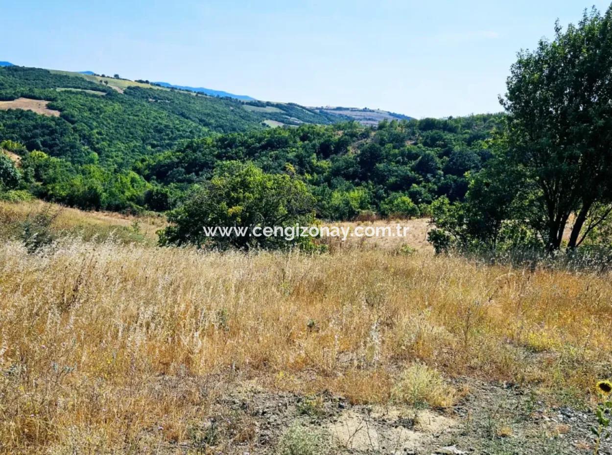 Kelep Kopon Field For Urgent Sale For Those Who Want To Make A Profitable Investment In Tekirdag Çanakçi Neighborhood