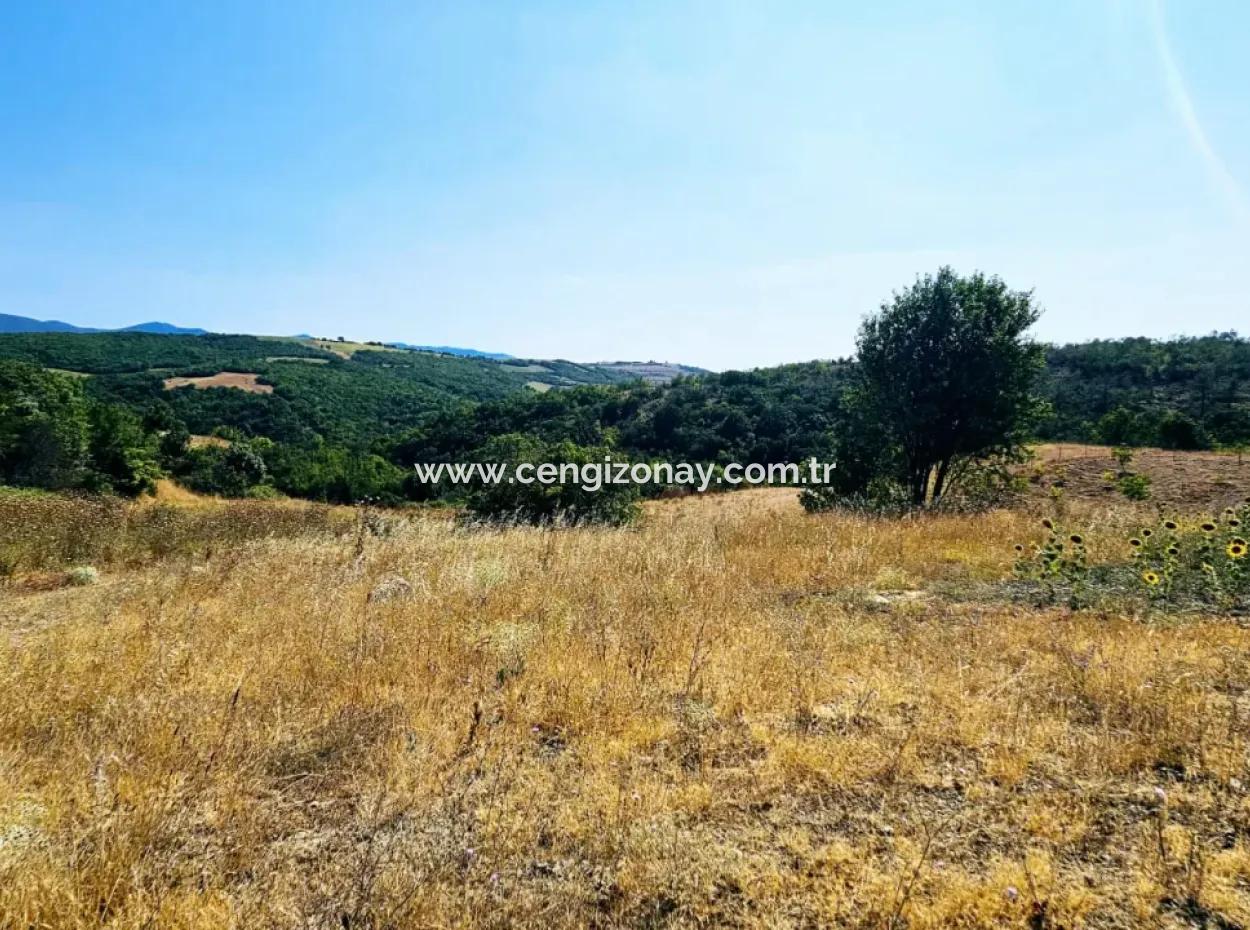 Kelep Kopon Field For Urgent Sale For Those Who Want To Make A Profitable Investment In Tekirdag Çanakçi Neighborhood