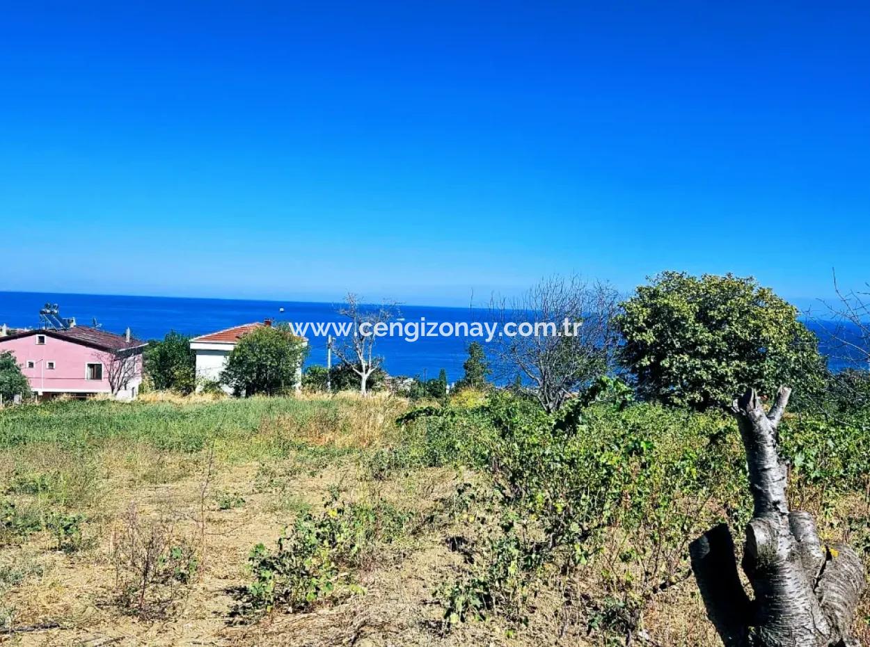 An Unmissable Opportunity For Those Looking For A Place For Urgent Sale 4 Side Road Façade Investment In Tekirdag Barbarosta