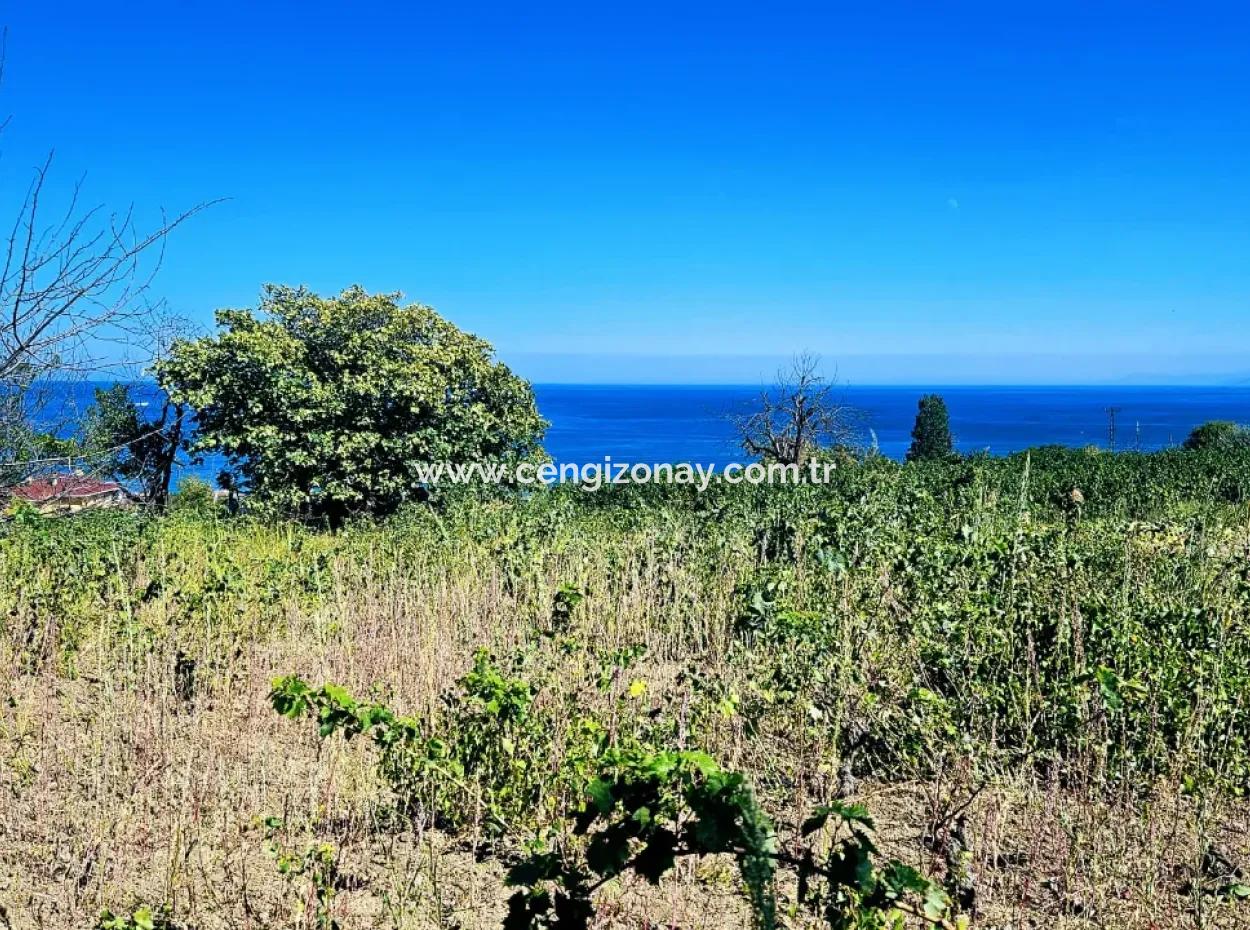 An Unmissable Opportunity For Those Looking For A Place For Urgent Sale 4 Side Road Façade Investment In Tekirdag Barbarosta