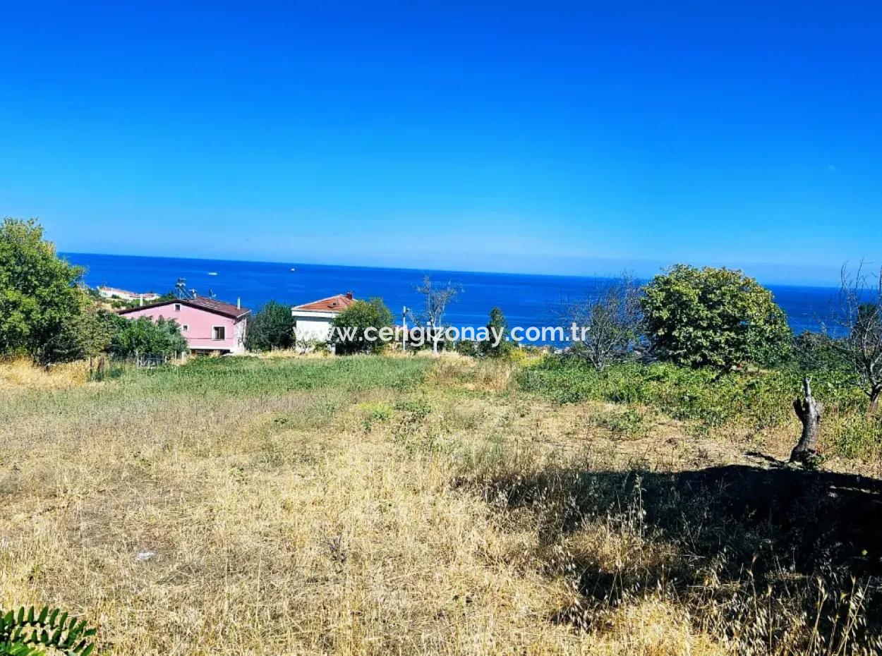 An Unmissable Opportunity For Those Looking For A Place For Urgent Sale 4 Side Road Façade Investment In Tekirdag Barbarosta