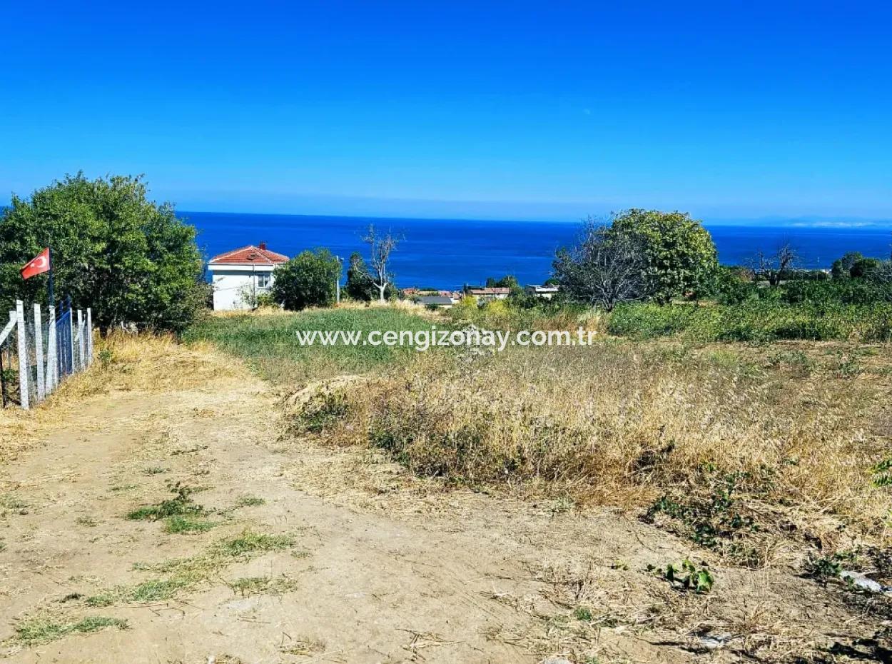 An Unmissable Opportunity For Those Looking For A Place For Urgent Sale 4 Side Road Façade Investment In Tekirdag Barbarosta
