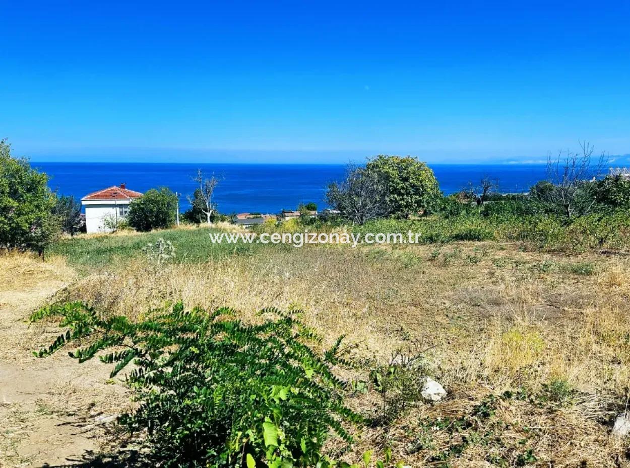 An Unmissable Opportunity For Those Looking For A Place For Urgent Sale 4 Side Road Façade Investment In Tekirdag Barbarosta