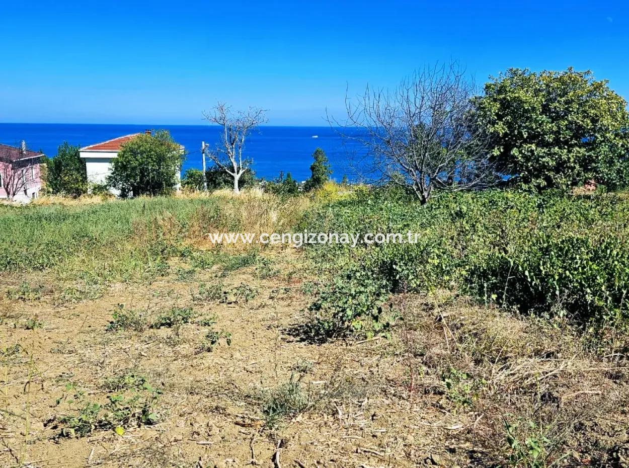An Unmissable Opportunity For Those Looking For A Place For Urgent Sale 4 Side Road Façade Investment In Tekirdag Barbarosta