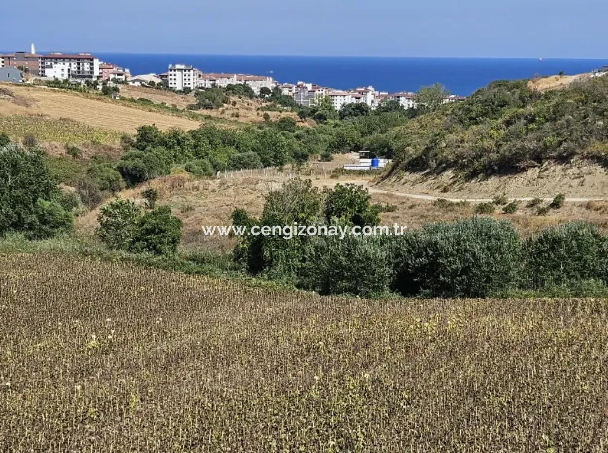 9.100 M2 Villa Zoned Field For Urgent Sale In Tekirdag Barbarosta