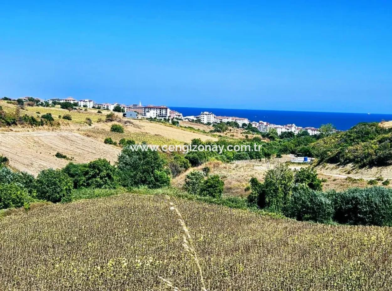 9.100 M2 Villa Zoned Field For Urgent Sale In Tekirdag Barbarosta
