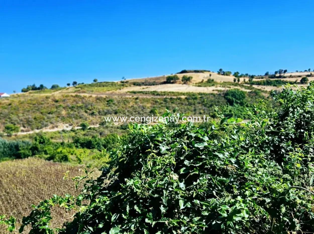9.100 M2 Villa Zoned Field For Urgent Sale In Tekirdag Barbarosta