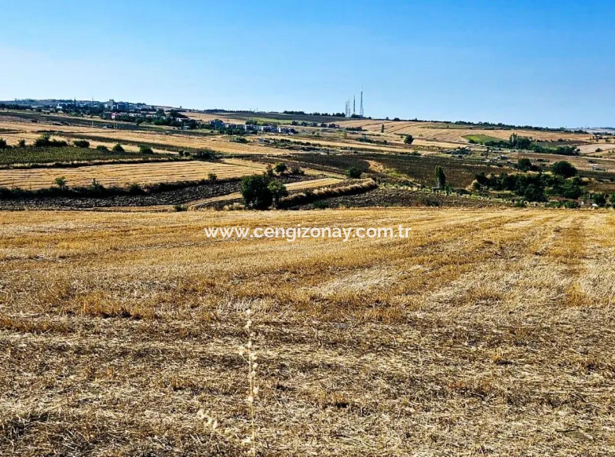 2.650 M2 Villa For Urgent Sale In Tekirdag Barbarosta Zoned Coupon Field Suitable For Investment