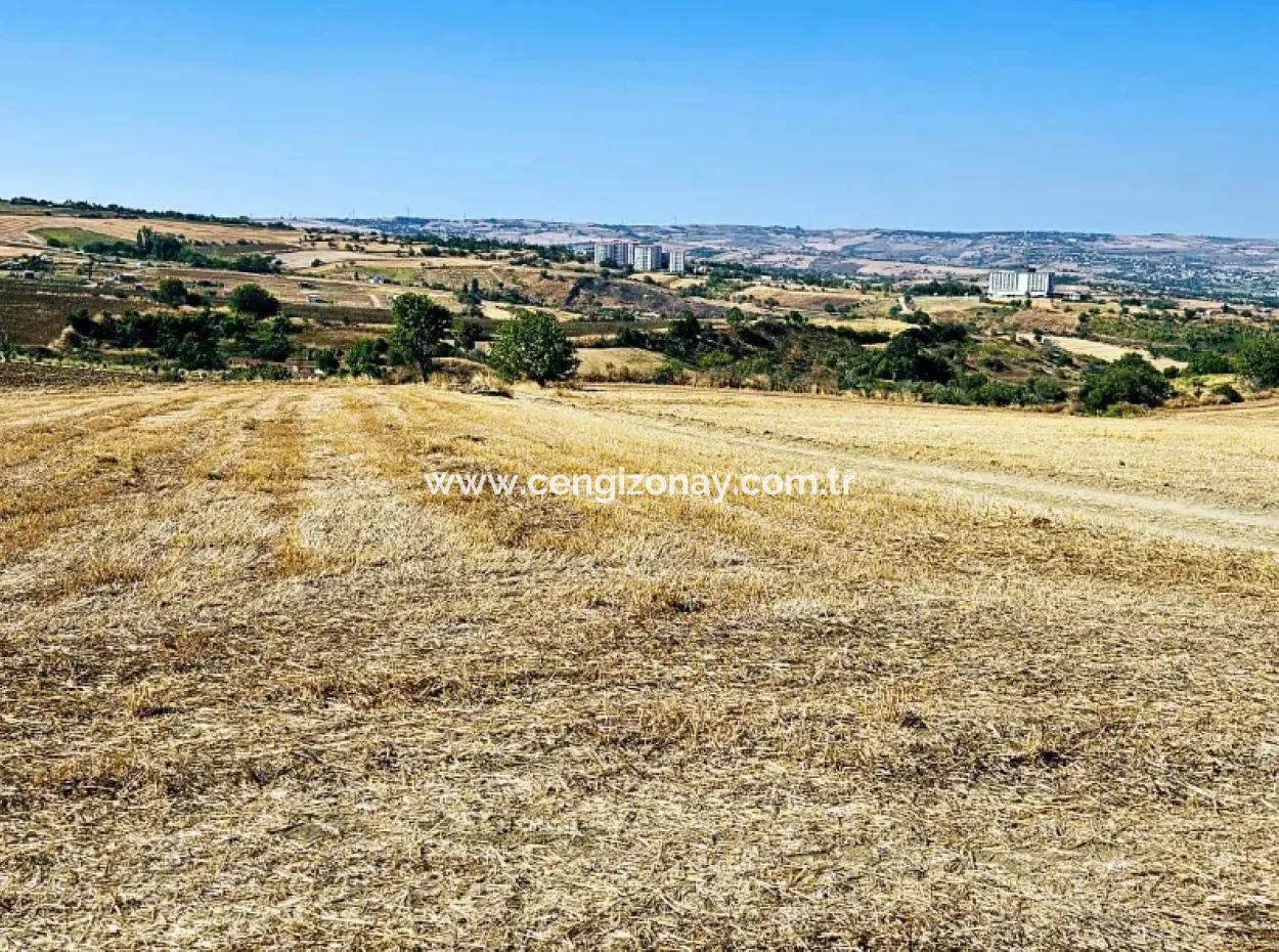 2.650 M2 Villa For Urgent Sale In Tekirdag Barbarosta Zoned Coupon Field Suitable For Investment