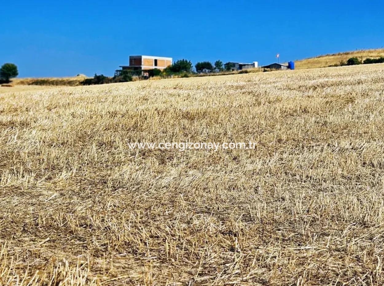 2.650 M2 Villa For Urgent Sale In Tekirdag Barbarosta Zoned Coupon Field Suitable For Investment