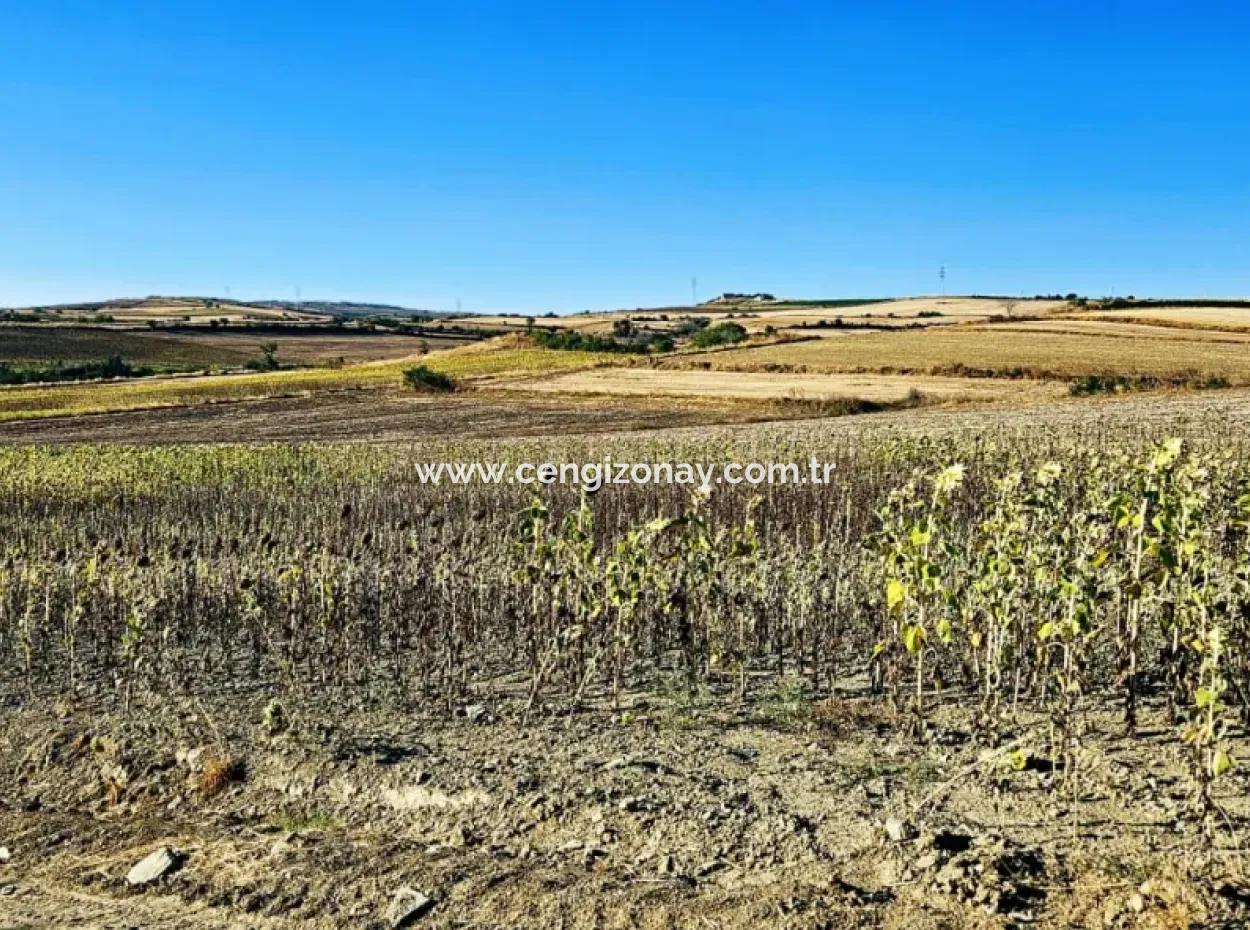 Asyaport Port Is An Unmissable Opportunity Land For Those Who Want To Invest Very Close To The Existing Zoning