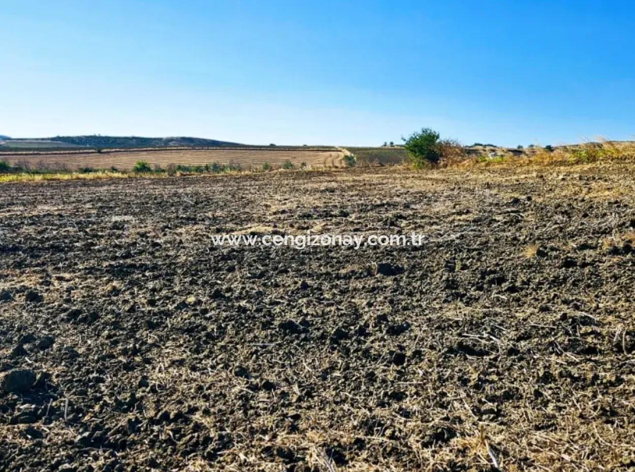 Asyaport Port Is An Unmissable Opportunity Land For Those Who Want To Invest Very Close To The Existing Zoning