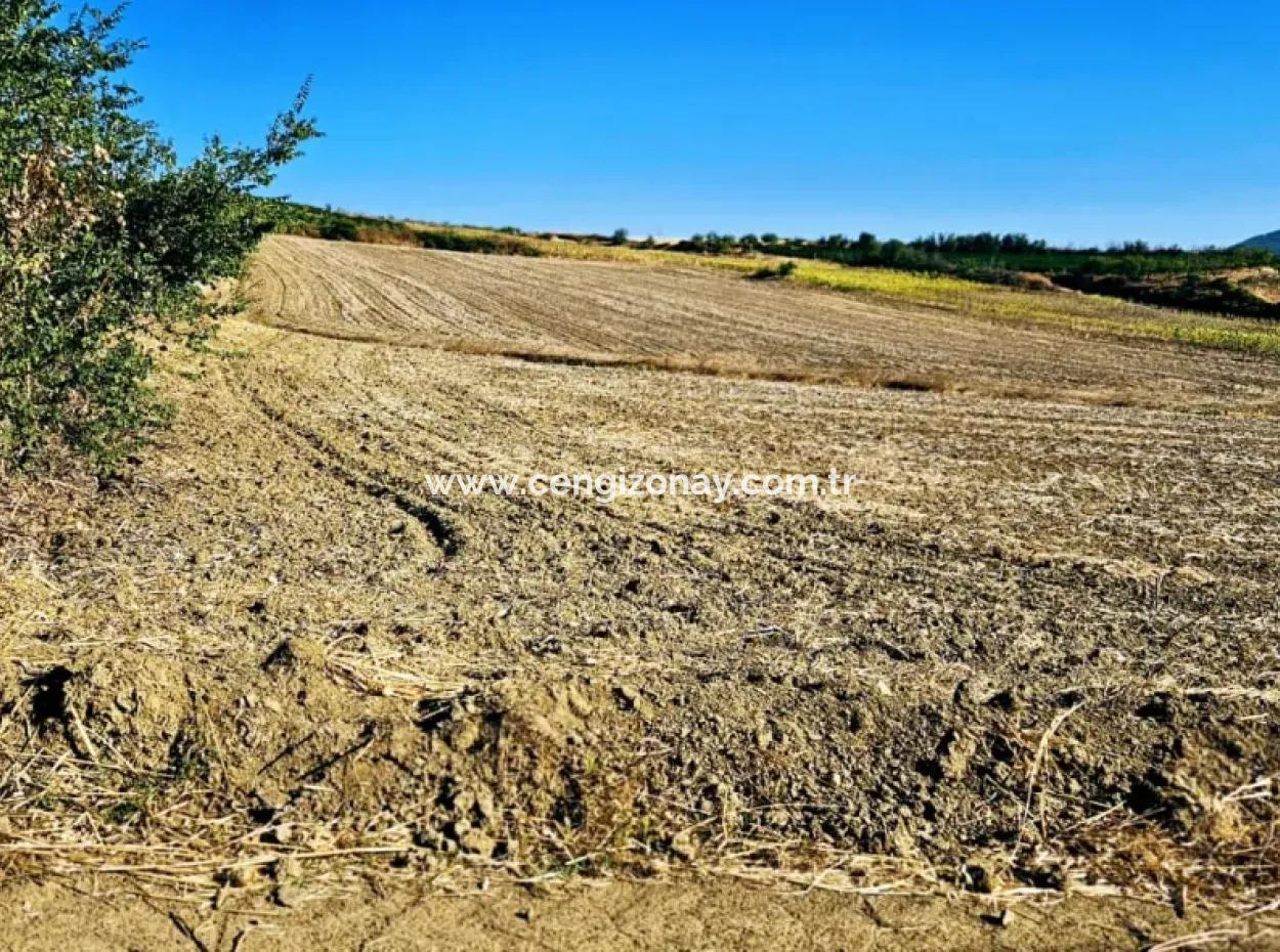 Asyaport Port Is An Unmissable Opportunity Land For Those Who Want To Invest Very Close To The Existing Zoning