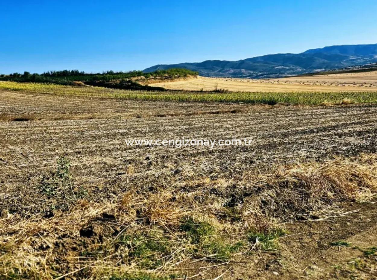 Asyaport Port Is Very Close To The Existing Zoning 17.350 M2 Bargain Investment Coupon Field For Urgent Sale