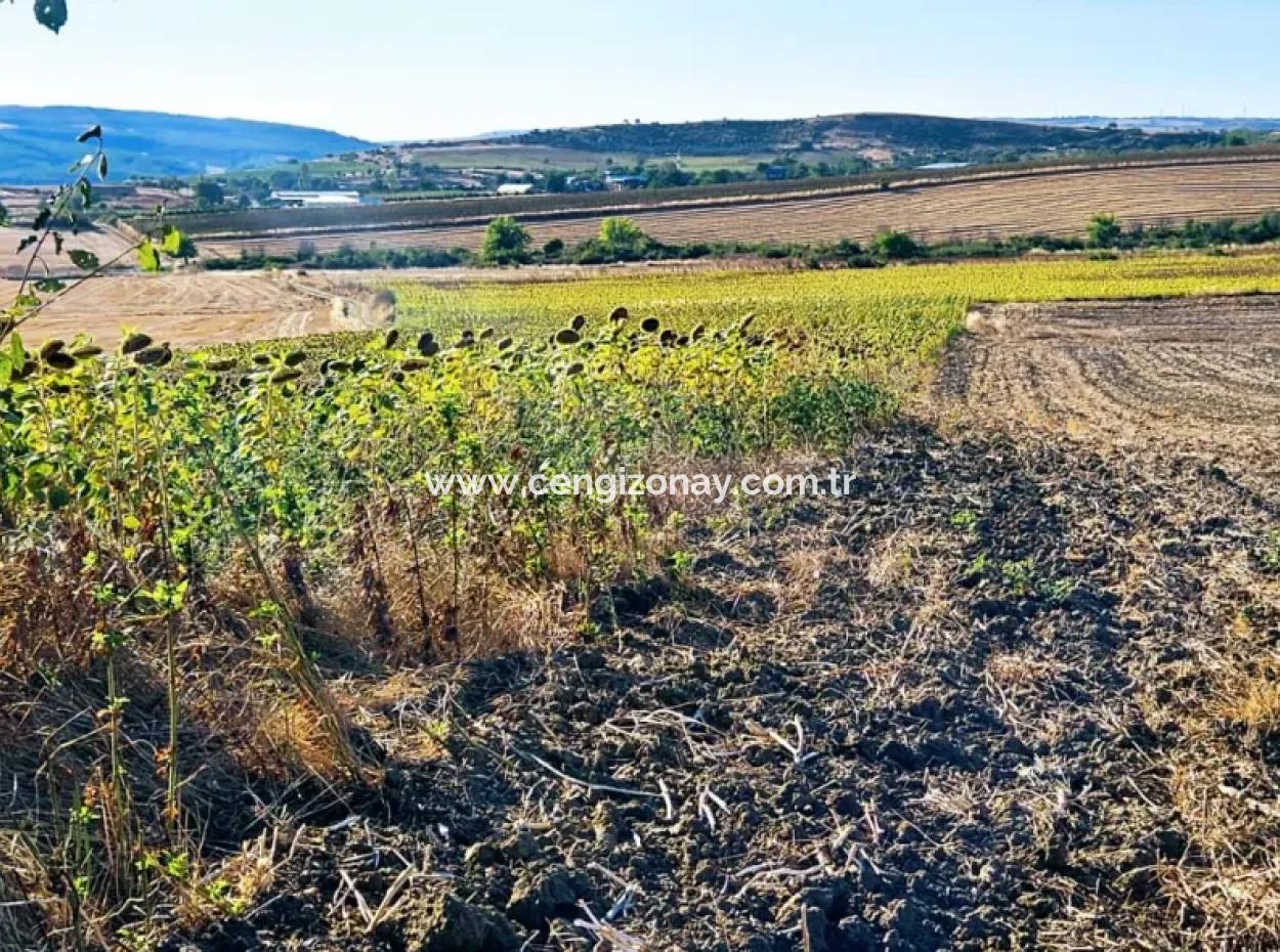 Asyaport Port Is Very Close To The Existing Zoning 17.350 M2 Bargain Investment Coupon Field For Urgent Sale