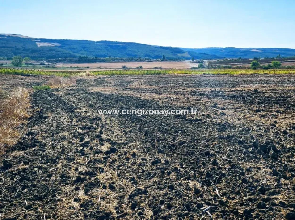 Asyaport Port Is Very Close To The Existing Zoning 17.350 M2 Bargain Investment Coupon Field For Urgent Sale