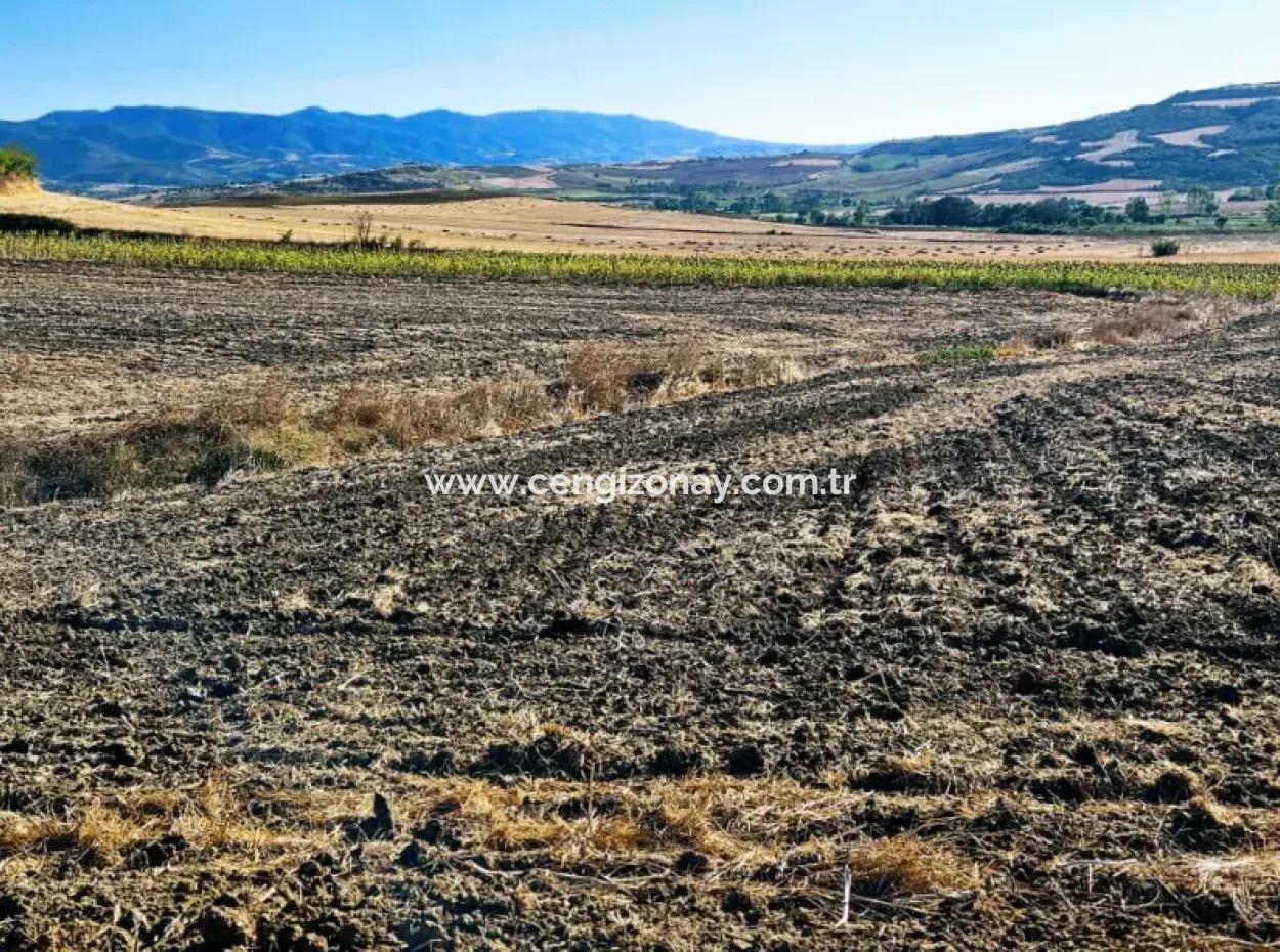 Asyaport Port Is Very Close To The Existing Zoning 17.350 M2 Bargain Investment Coupon Field For Urgent Sale