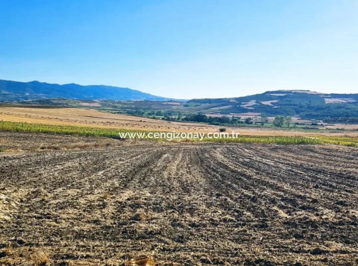 Asyaport Port Is Very Close To The Existing Zoning 17.350 M2 Bargain Investment Coupon Field For Urgent Sale