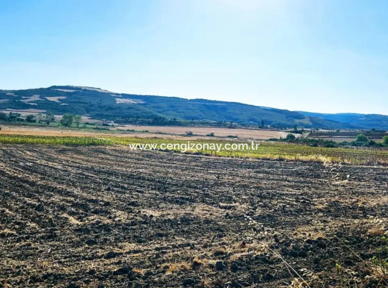 Asyaport Port Is Very Close To The Existing Zoning 17.350 M2 Bargain Investment Coupon Field For Urgent Sale