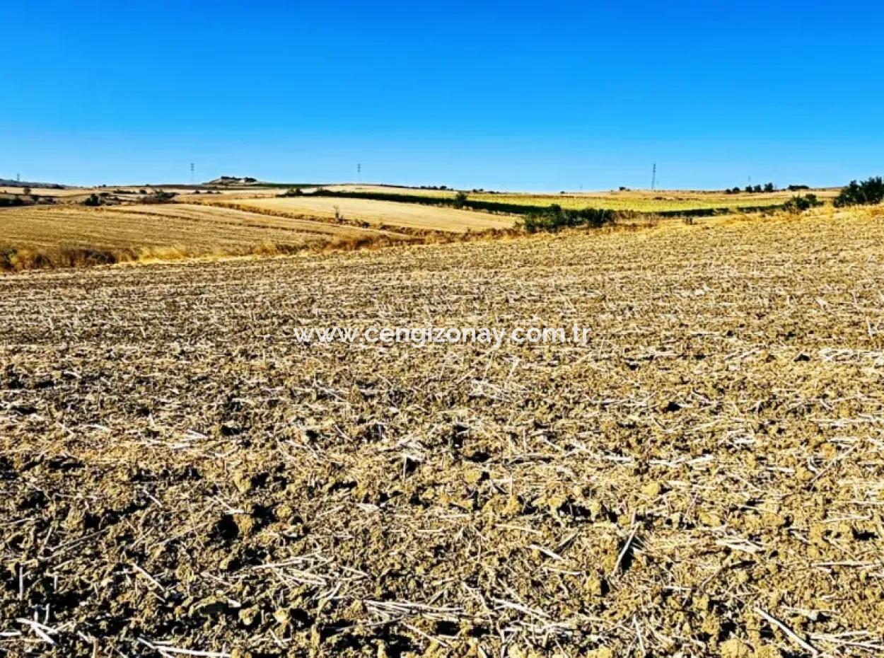 Asyaport Port Is Very Close To The Existing Zoning 17.350 M2 Bargain Investment Coupon Field For Urgent Sale