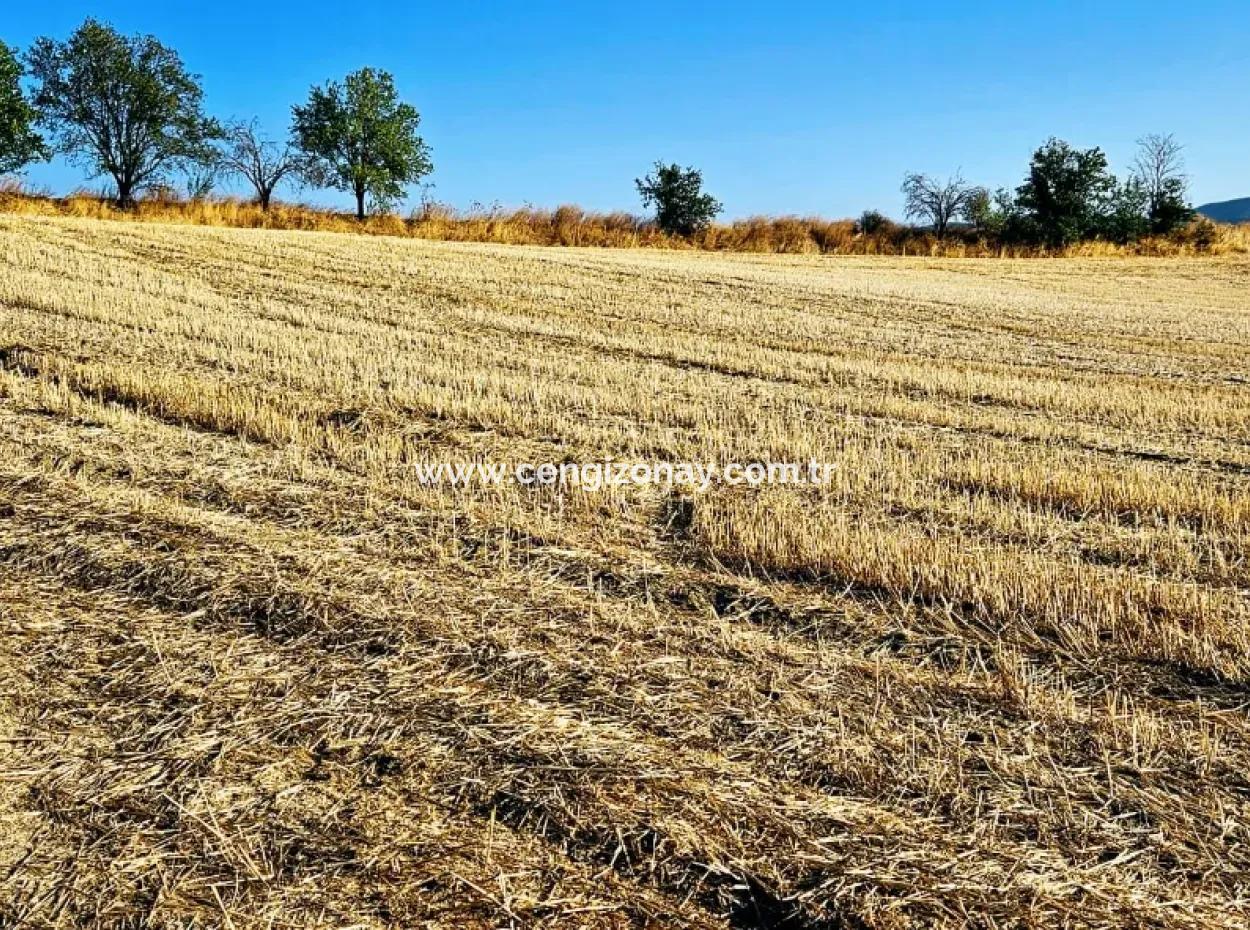 Azyaport Port Is Close To The Existing Zoning 16.100 Emergency Sale Investment Bargain Coupon Field