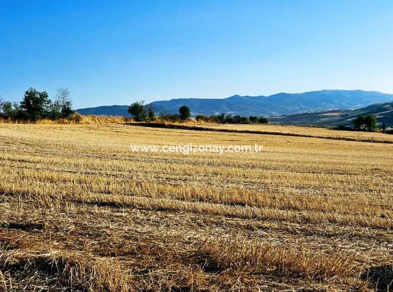 Azyaport Port Is Close To The Existing Zoning 16.100 Emergency Sale Investment Bargain Coupon Field