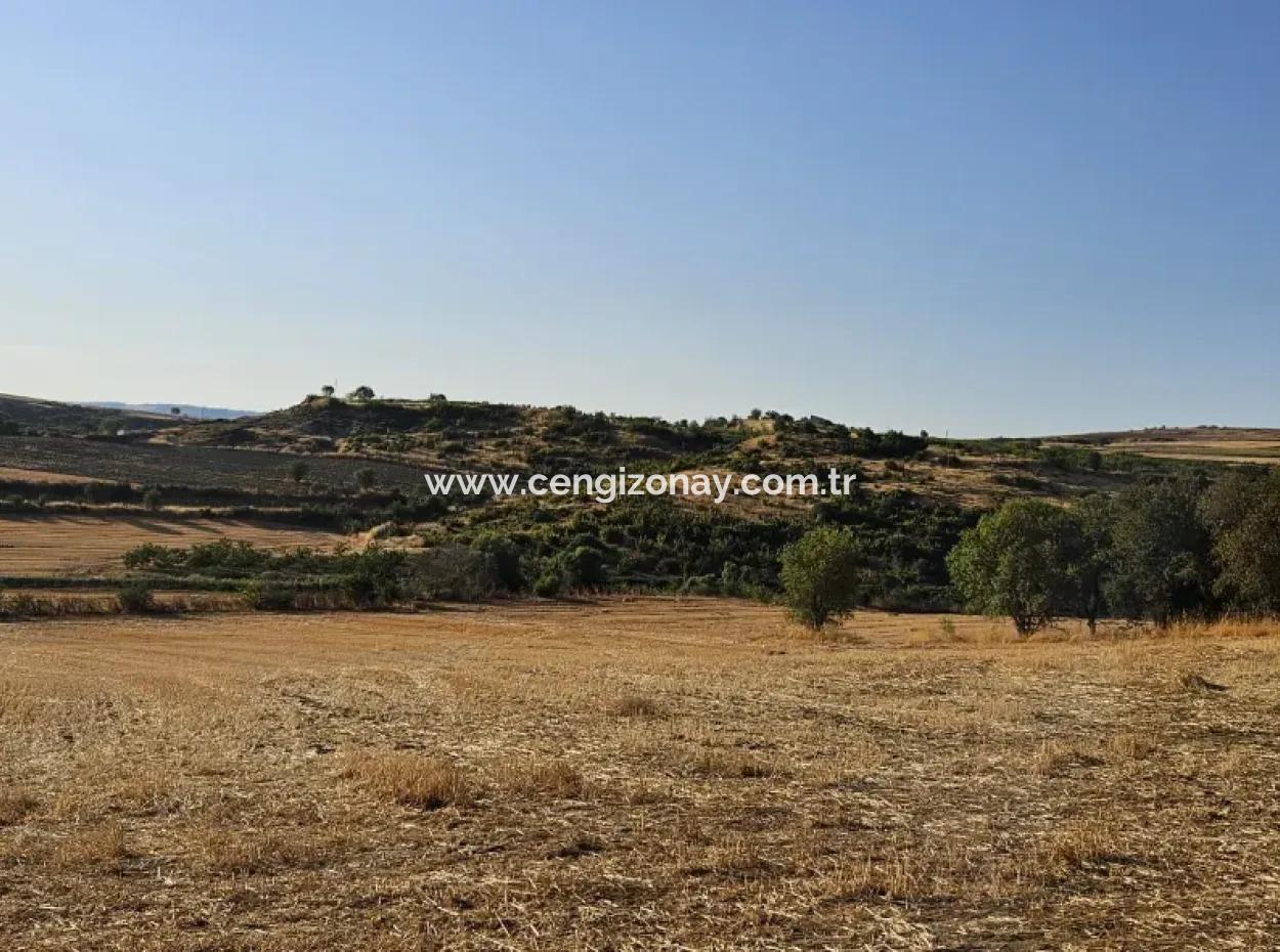 Azyaport Port Is Close To The Existing Zoning 16.100 Emergency Sale Investment Bargain Coupon Field