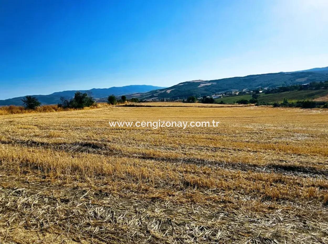 Azyaport Port Is Close To The Existing Zoning 16.100 Emergency Sale Investment Bargain Coupon Field