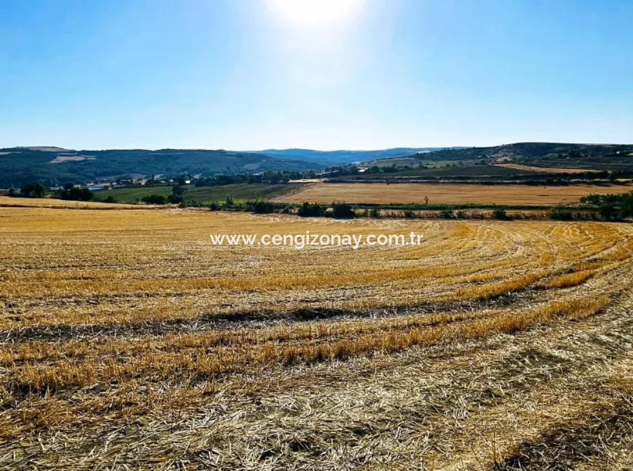 Azyaport Port Is Close To The Existing Zoning 16.100 Emergency Sale Investment Bargain Coupon Field