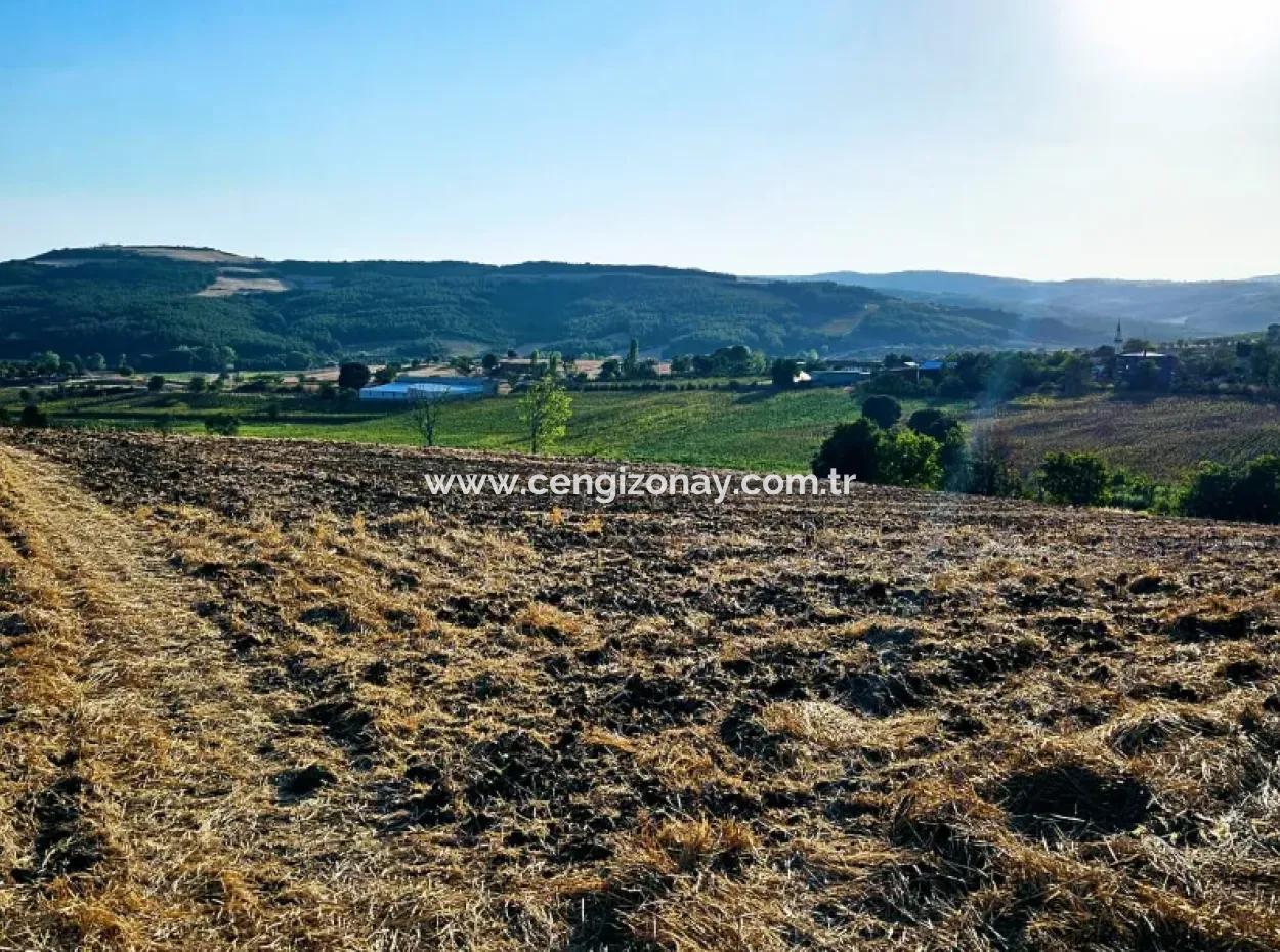 Azyaport Port Is Close To The Existing Zoning 16.100 Emergency Sale Investment Bargain Coupon Field