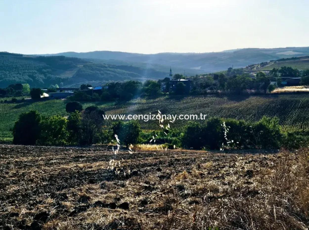 Azyaport Port Is Close To The Existing Zoning 16.100 Emergency Sale Investment Bargain Coupon Field