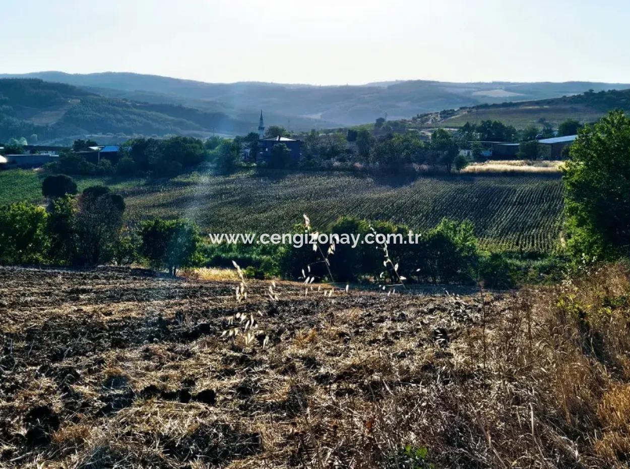 Azyaport Port Is Close To The Existing Zoning 16.100 Emergency Sale Investment Bargain Coupon Field