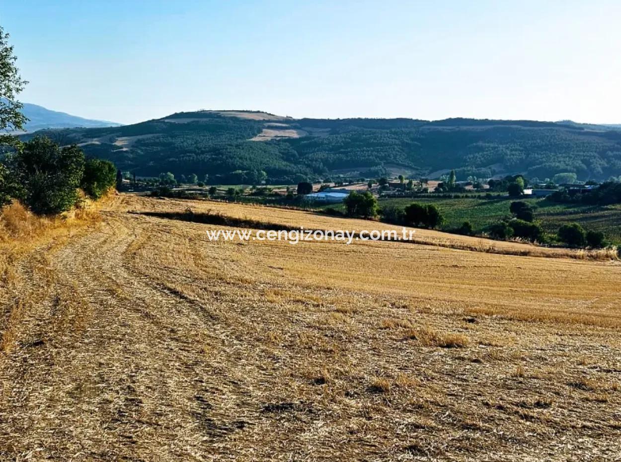 Azyaport Port Is Close To The Existing Zoning 16.100 Emergency Sale Investment Bargain Coupon Field